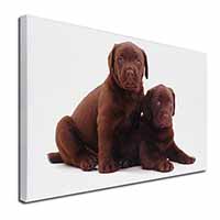 Chocolate Labrador Puppy Dogs Canvas X-Large 30"x20" Wall Art Print