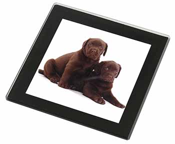 Chocolate Labrador Puppy Dogs Black Rim High Quality Glass Coaster