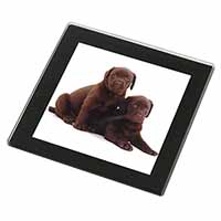 Chocolate Labrador Puppy Dogs Black Rim High Quality Glass Coaster
