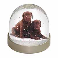 Chocolate Labrador Puppy Dogs Snow Globe Photo Waterball