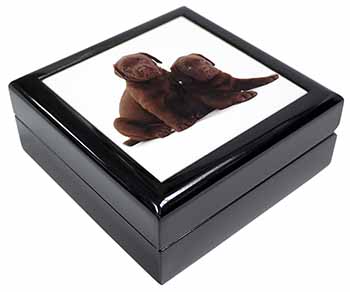 Chocolate Labrador Puppy Dogs Keepsake/Jewellery Box