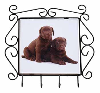 Chocolate Labrador Puppy Dogs Wrought Iron Key Holder Hooks