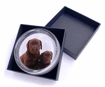 Chocolate Labrador Puppy Dogs Glass Paperweight in Gift Box