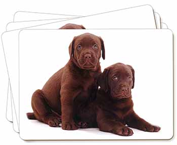 Chocolate Labrador Puppy Dogs Picture Placemats in Gift Box