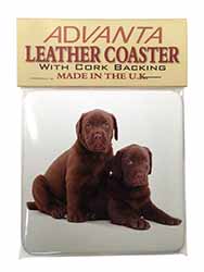 Chocolate Labrador Puppy Dogs Single Leather Photo Coaster