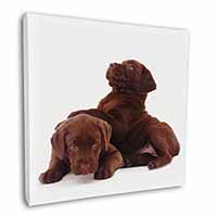 Chocolate Labrador Puppies Square Canvas 12"x12" Wall Art Picture Print