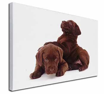 Chocolate Labrador Puppies Canvas X-Large 30"x20" Wall Art Print