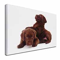 Chocolate Labrador Puppies Canvas X-Large 30"x20" Wall Art Print