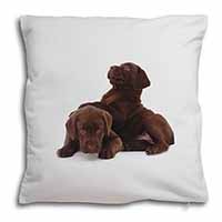 Chocolate Labrador Puppies Soft White Velvet Feel Scatter Cushion