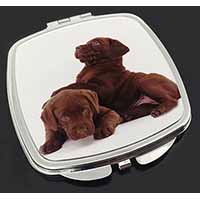 Chocolate Labrador Puppies Make-Up Compact Mirror