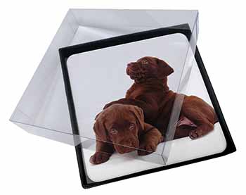 4x Chocolate Labrador Puppies Picture Table Coasters Set in Gift Box