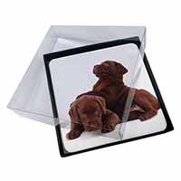 4x Chocolate Labrador Puppies Picture Table Coasters Set in Gift Box