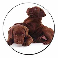 Chocolate Labrador Puppies Fridge Magnet Printed Full Colour
