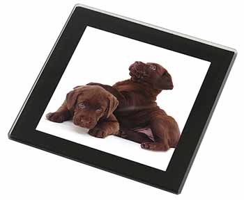 Chocolate Labrador Puppies Black Rim High Quality Glass Coaster