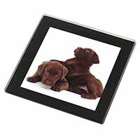 Chocolate Labrador Puppies Black Rim High Quality Glass Coaster