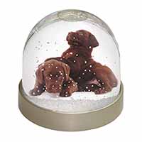 Chocolate Labrador Puppies Snow Globe Photo Waterball