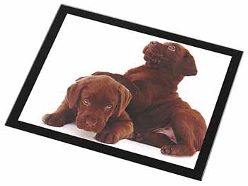 Chocolate Labrador Puppies Black Rim High Quality Glass Placemat