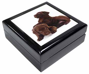 Chocolate Labrador Puppies Keepsake/Jewellery Box