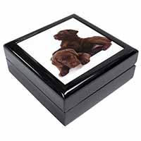 Chocolate Labrador Puppies Keepsake/Jewellery Box