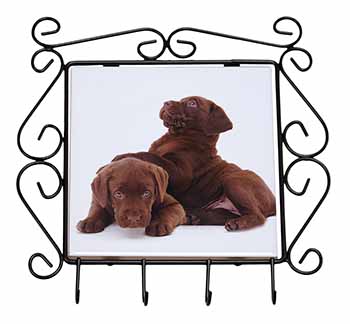 Chocolate Labrador Puppies Wrought Iron Key Holder Hooks