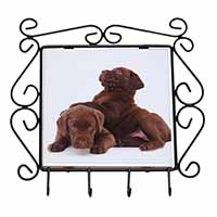 Chocolate Labrador Puppies Wrought Iron Key Holder Hooks