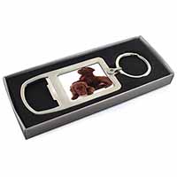 Chocolate Labrador Puppies Chrome Metal Bottle Opener Keyring in Box
