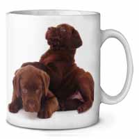 Chocolate Labrador Puppies Ceramic 10oz Coffee Mug/Tea Cup