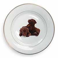 Chocolate Labrador Puppies Gold Rim Plate Printed Full Colour in Gift Box