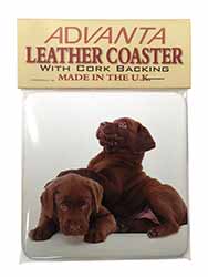 Chocolate Labrador Puppies Single Leather Photo Coaster