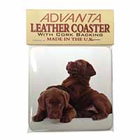 Chocolate Labrador Puppies Single Leather Photo Coaster