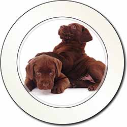 Chocolate Labrador Puppies Car or Van Permit Holder/Tax Disc Holder