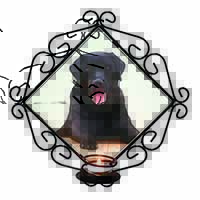 Black Labrador Dog Wrought Iron Wall Art Candle Holder