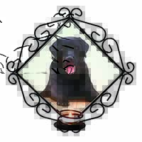 Black Labrador Dog Wrought Iron Wall Art Candle Holder
