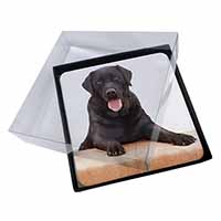 4x Black Labrador Dog Picture Table Coasters Set in Gift Box