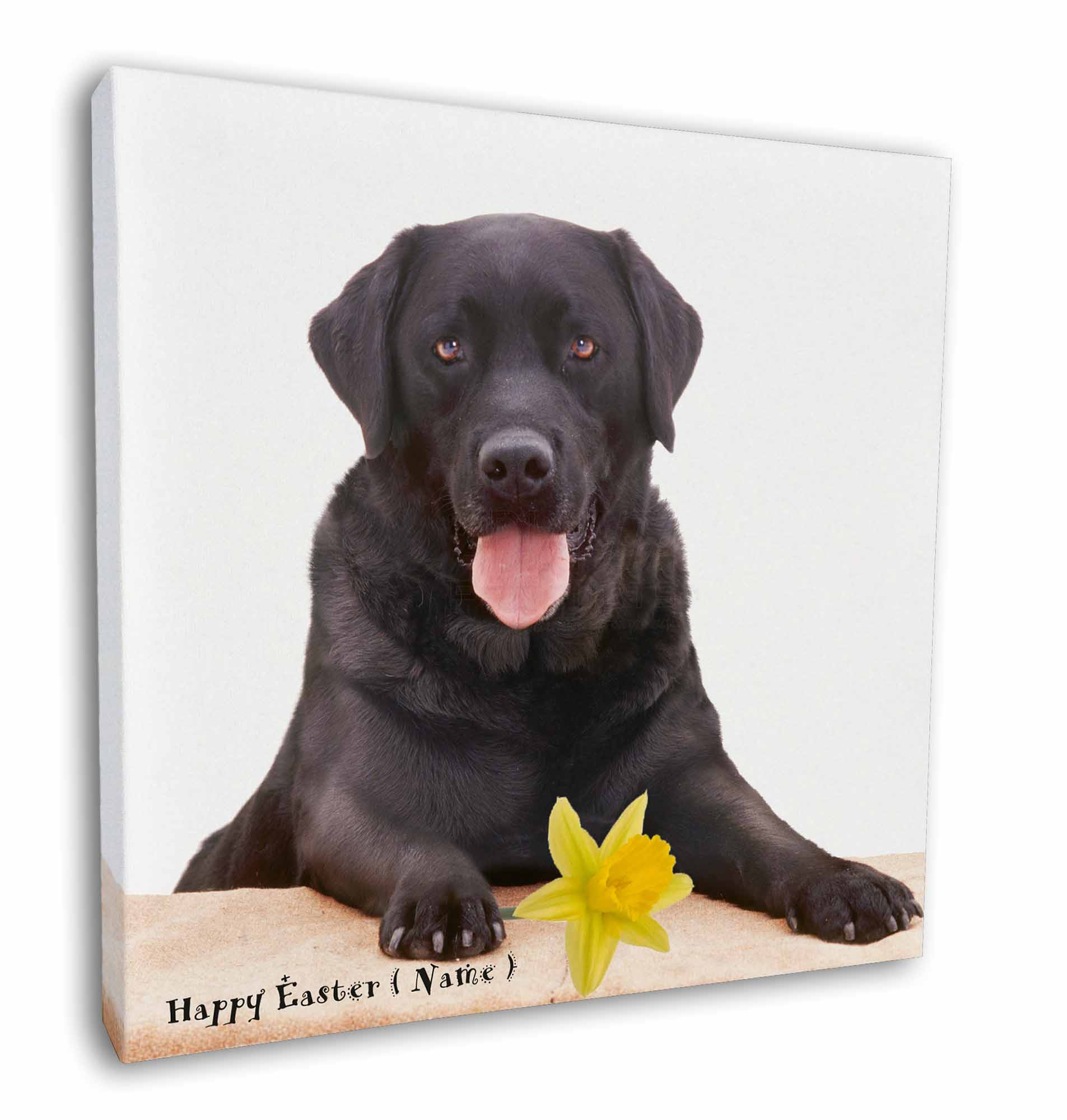 Details About Personalised Name Black Labrador 12 X12 Wall Art Canvas Decor P Ad L86da2 C12