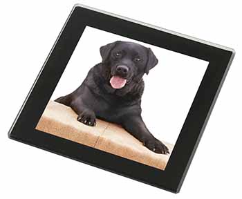 Black Labrador Dog Black Rim High Quality Glass Coaster