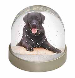 Black Labrador Dog Snow Globe Photo Waterball