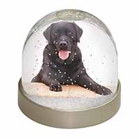 Black Labrador Dog Snow Globe Photo Waterball