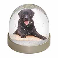 Black Labrador Dog Snow Globe Photo Waterball