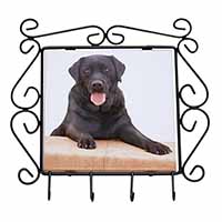 Black Labrador Dog Wrought Iron Key Holder Hooks