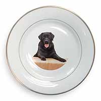 Black Labrador Dog Gold Rim Plate Printed Full Colour in Gift Box