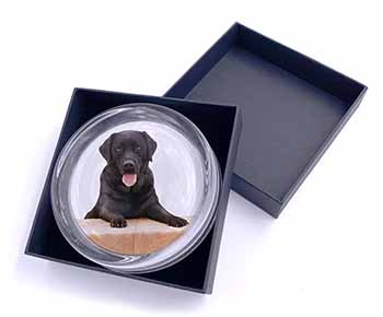 Black Labrador Dog Glass Paperweight in Gift Box