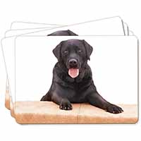 Black Labrador Dog Picture Placemats in Gift Box