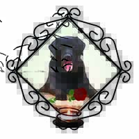 Black Labrador with Red Rose Wrought Iron Wall Art Candle Holder