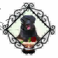 Black Labrador with Red Rose Wrought Iron Wall Art Candle Holder