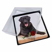 4x Black Labrador with Red Rose Picture Table Coasters Set in Gift Box