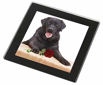 Black Labrador with Red Rose Black Rim High Quality Glass Coaster
