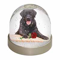 Black Labrador with Red Rose Snow Globe Photo Waterball