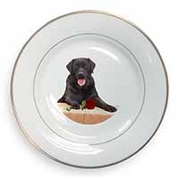 Black Labrador with Red Rose Gold Rim Plate Printed Full Colour in Gift Box