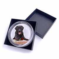 Black Labrador with Red Rose Glass Paperweight in Gift Box